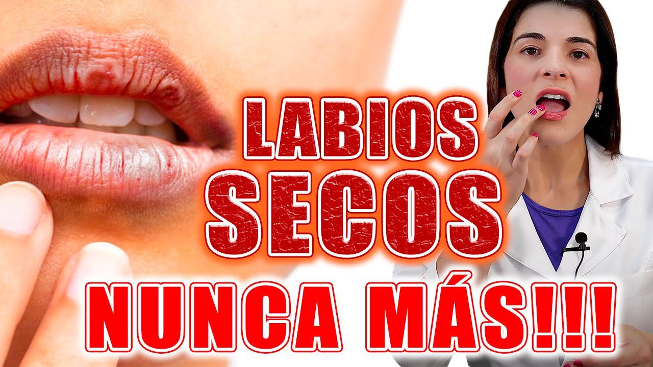 Labiales Hidratantes: Los Mejores Lipsticks para Labios Resecos que Amarán en 2026