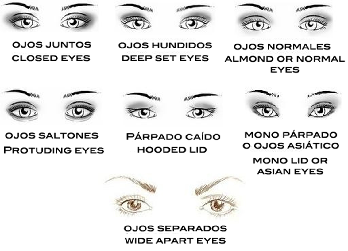Maquillaje de Ojos por Forma: Potencia tu Mirada con Técnicas para Ojos Almendrados, Redondos o Encapuchados
