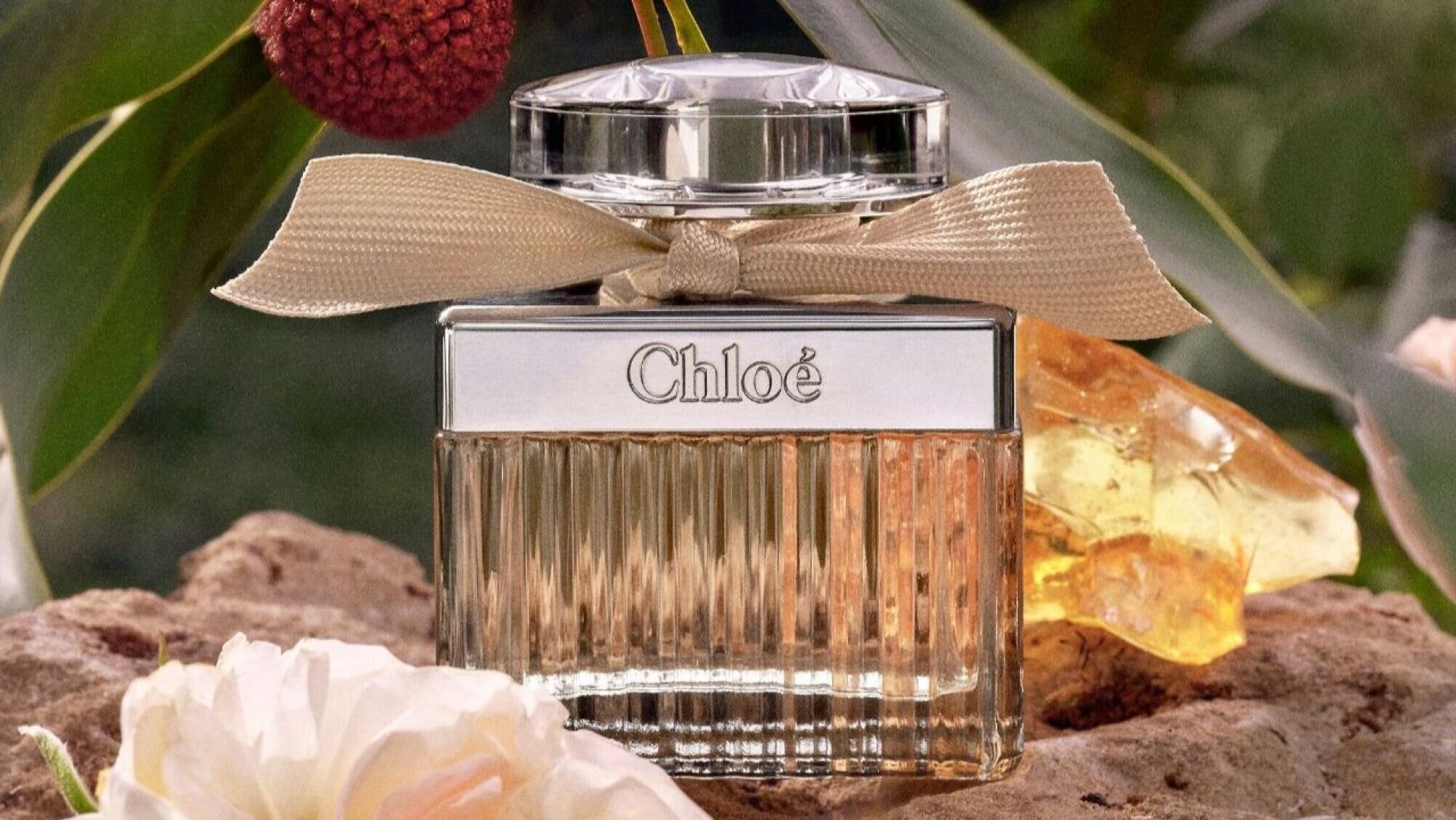 Los Perfumes Florales para Mujer Más Duraderos: Elegancia y Frescura que Perdura en 2026